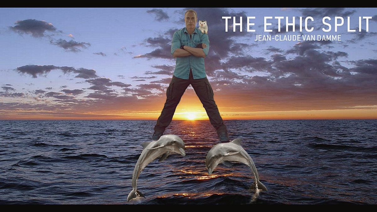 RaoulGonzo2's tweet photo. @JCVD The ethic split.
A contribution to #JCVDquest.
#JCVD https://t.co/5HZcPZYbXb