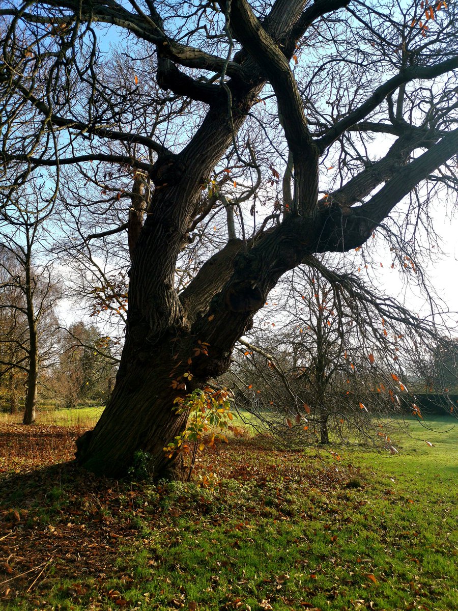 Paul Smith tweet media