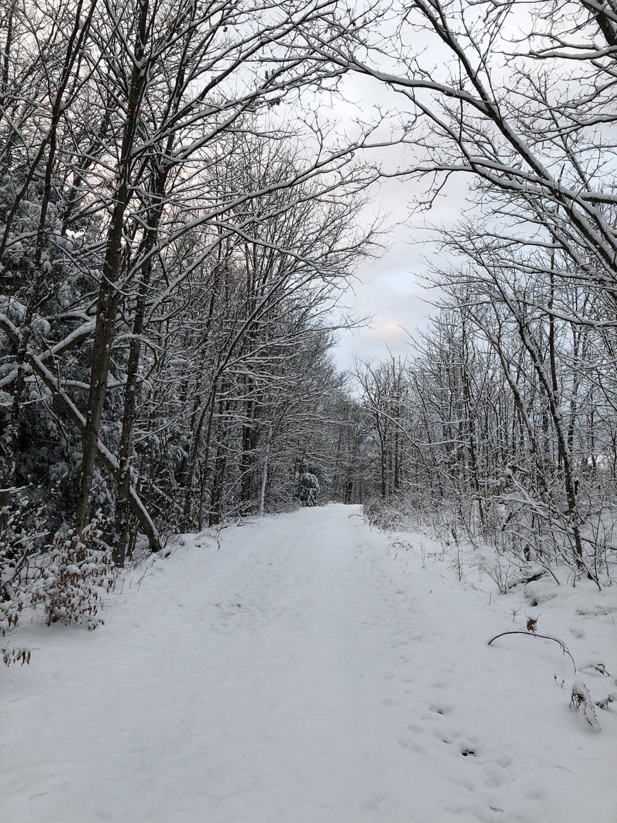 janica_e's tweet photo. Walking in a winter wonderland! 
..
.
..
.
..
.
#WinterWonderland #ItsBeginningToLookALotLikeChristmas #WinterIsHere #WeLoveSnow #WokeUpToThis  #WinterInCanada https://t.co/A9BfBlK2qg