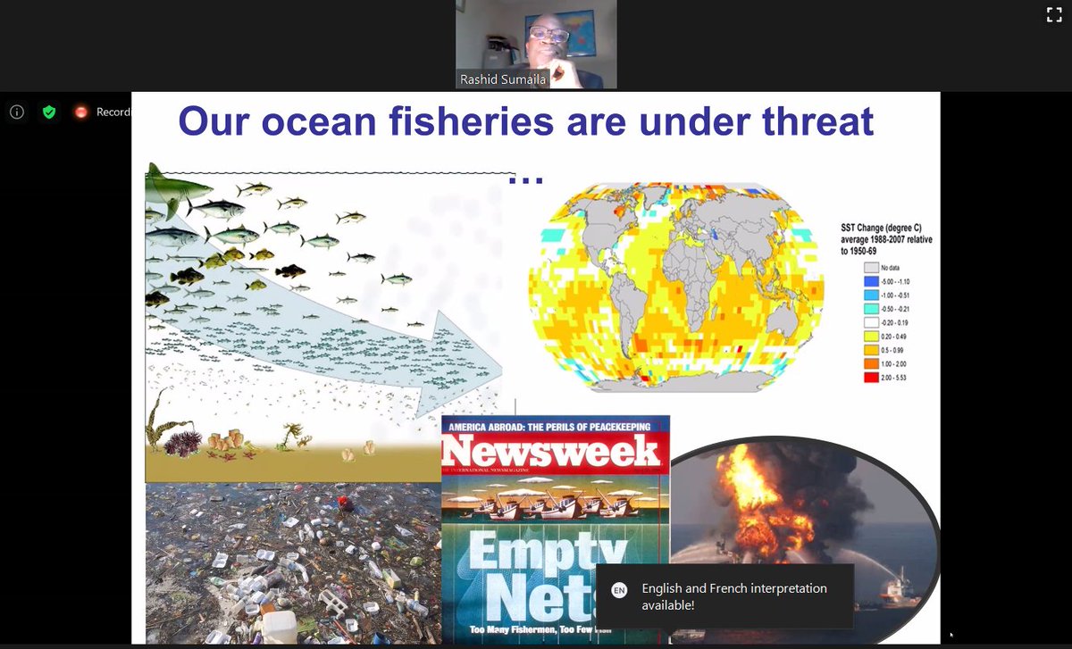 EnricomariaAndr's tweet photo. Happening now: World Fisheries Day - Towards Coherence, Impact &amp; Scaling up on Blue Economy Fisheries Investment. Joint FAO and African Development Bank Webinar. #enicbcmed #fishmednet #FAO75  #IFAD2020 https://t.co/QErXdtMFbV
