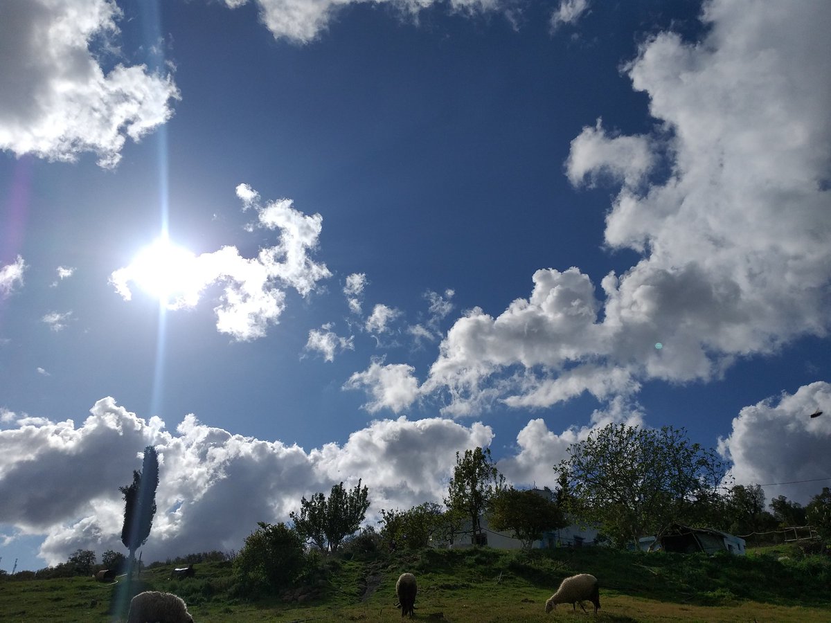 Ree__my's tweet photo. Memories from last year 🍃☘🐑
By me 🧡 https://t.co/Hp0AhPl31W