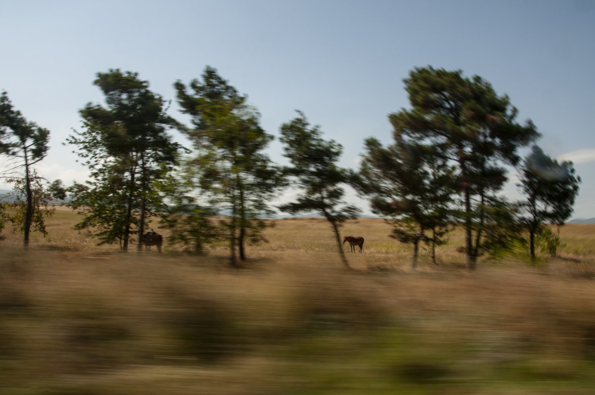 Photos from the box-book “Postcards from #Artsakh” by <a href="/PiruzaKhalapyan/">Piruz</a>.

#RecognizeArtsakh #PreserveArtsakh
