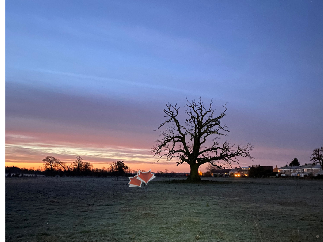 Midas_Pattern's tweet photo. @foxmere @aeaerospace @ScallN20 @sallylbailey @GBmfg_Neil Managed to outfox π¦ these cheeky guys on my morning run
#foxmere #Competition #makita #Coffee https://t.co/CkMhnotTT1