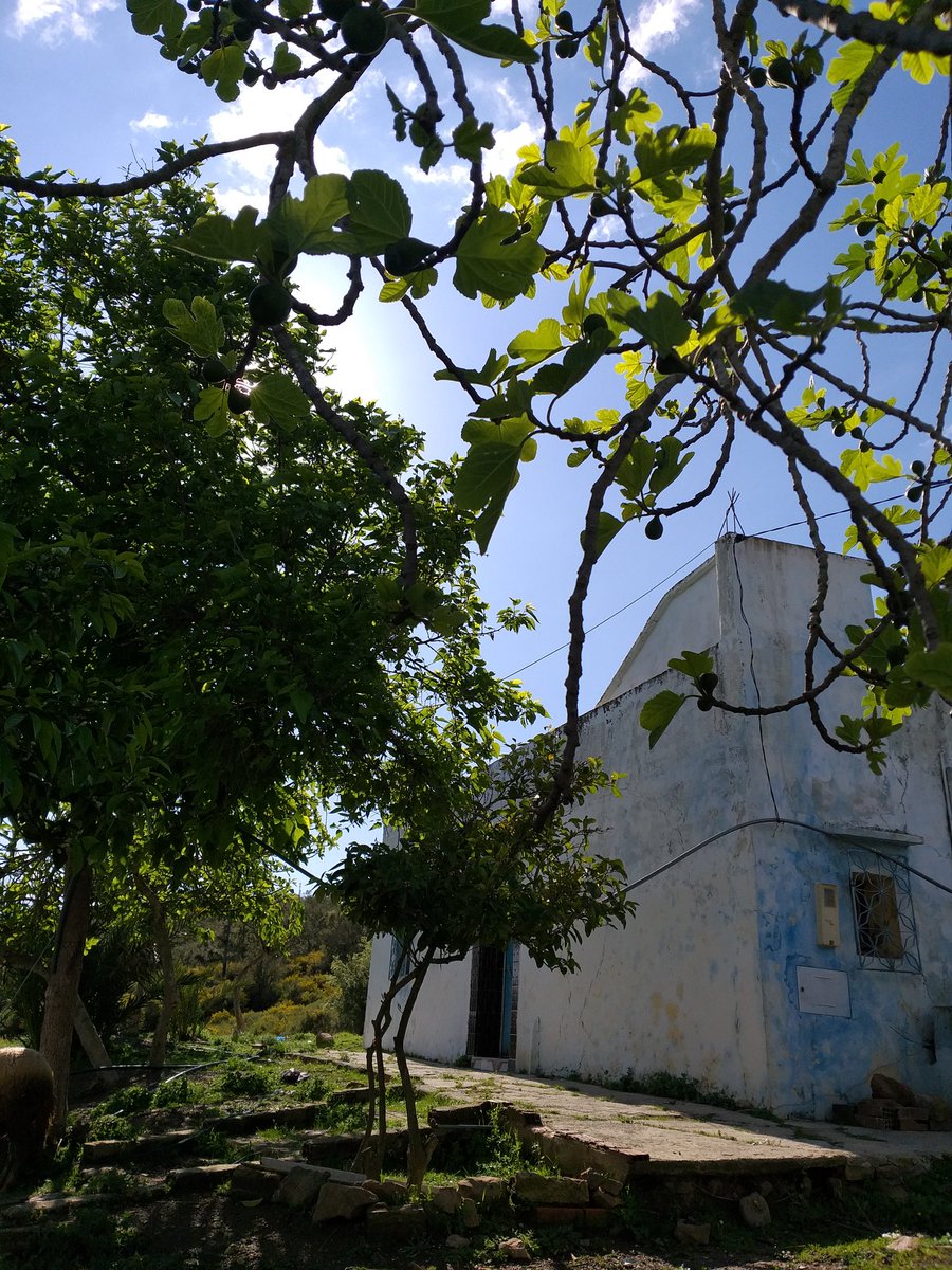 Ree__my's tweet photo. Memories from last year 🍃☘🐑
By me 🧡 https://t.co/Hp0AhPl31W