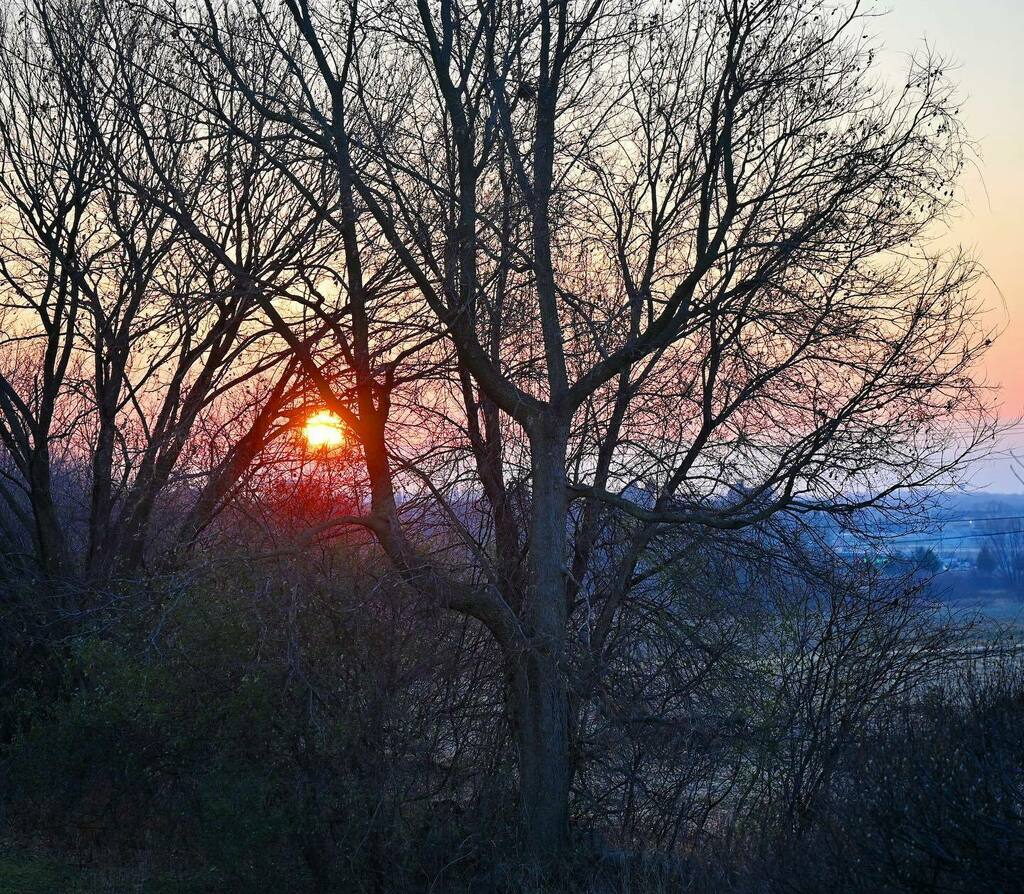 djogrolyo's tweet photo. View from my new back deck. 

#NewHouse #MovingWeek #Sunrise #CountyCoveRd #Madison #StillSoMuchToDo https://t.co/eFJLLcAOjF https://t.co/Alm5M0u2La
