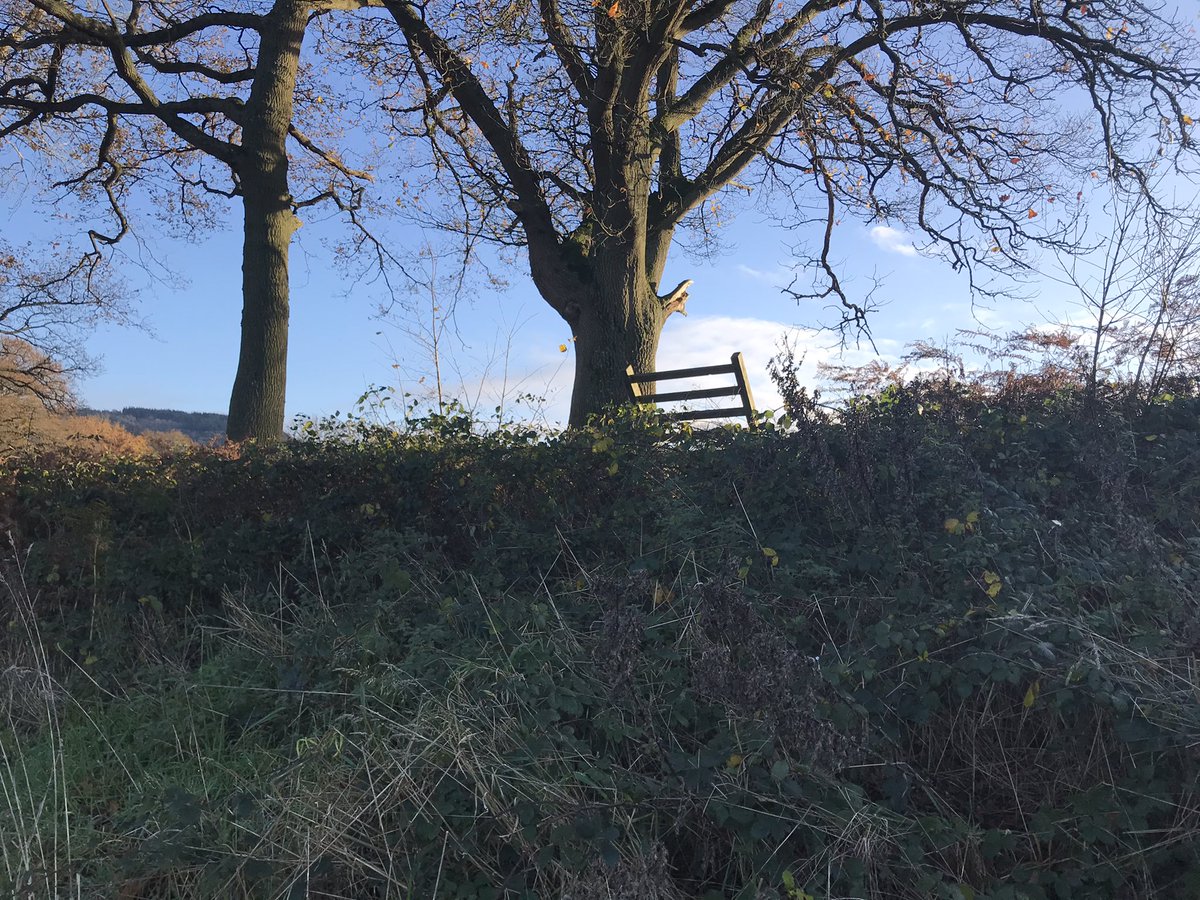 finstumpf's tweet photo. Miles of stiles in different styles
#MarkMyPath @RamblersCymru @MonmouthshireCC @MonCountryside https://t.co/N8HtvajbEF