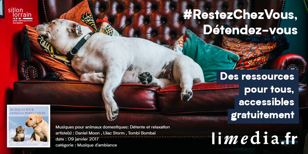 Pendant le confinement l’intégralité des ressources de limedia.fr sont accessibles gratuitement : + de 10 000 livres, 2500 titres de presse, des millions de morceaux de musique &amp; des cours en ligne pour s’occuper et se détendre 
Inscription : forms.gle/LWGoLTbKqc1VLm…