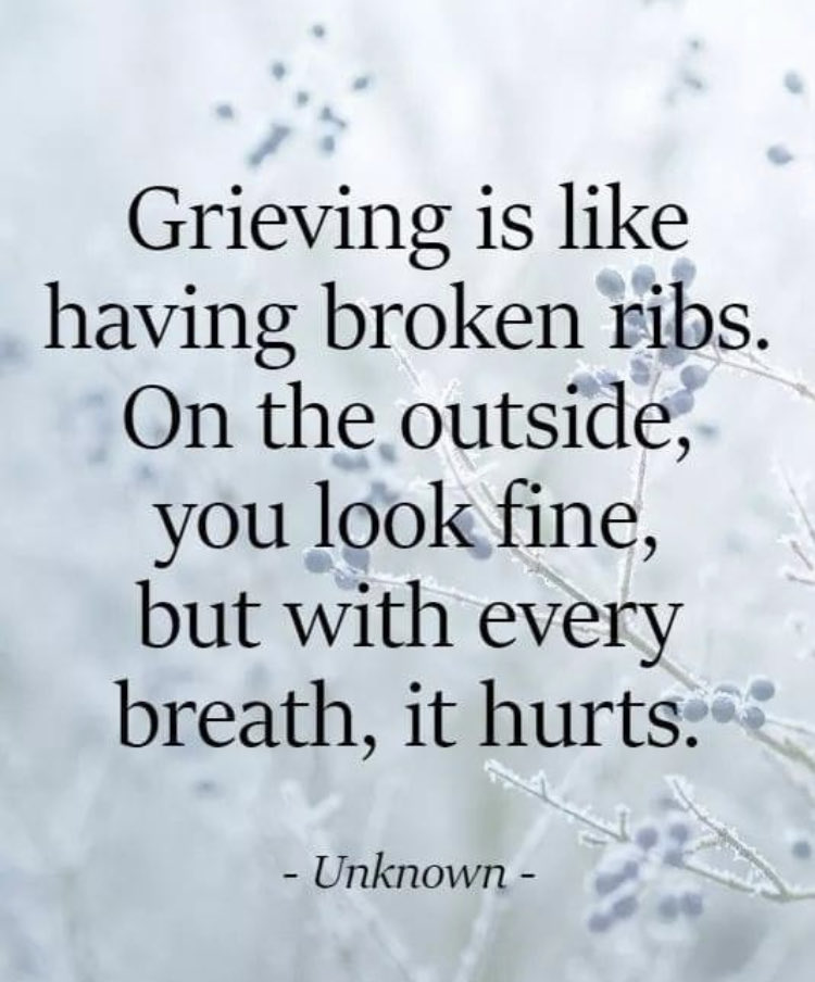 CagedDove20's tweet photo. So true https://t.co/MaY44lbvvP