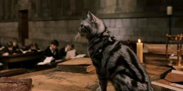 Se diz potterhead mas não conhece essa imagem.