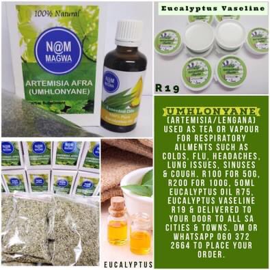 @UGmanofficial Beat 2nd wave - Umhlonyane (Lengana/Artemisia) tea.
- R100 50g and R200 100g.
- 50ml Eucalyptus Oil R75.
- Eucalyptus Vaseline R19.
- Delivery to door.
WhatsApp/call 0603722664. #supportsmallbusiness #Sinuses #Allergies #cough #lung #level1 #health #flu #covid19SA #Retweet ❤️ https://t.co/pWO9EsKRG0