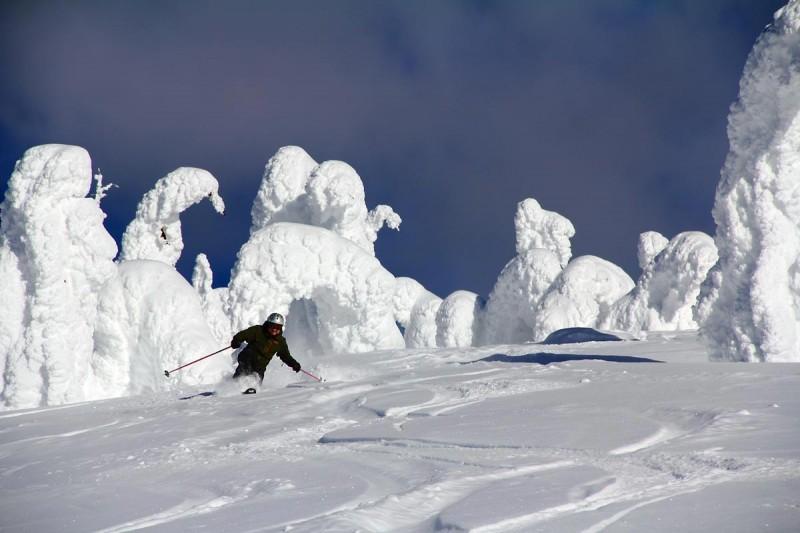 A skier in front of "snow ghosts," snow-covered pine trees on Big Mountain, Whitefish, Montana. From https://explorewhitefish.com/entries/anatomy-of-a-snow-ghost/b40d88ff-e16a-40a3-8c3a-8280ba8e49b4