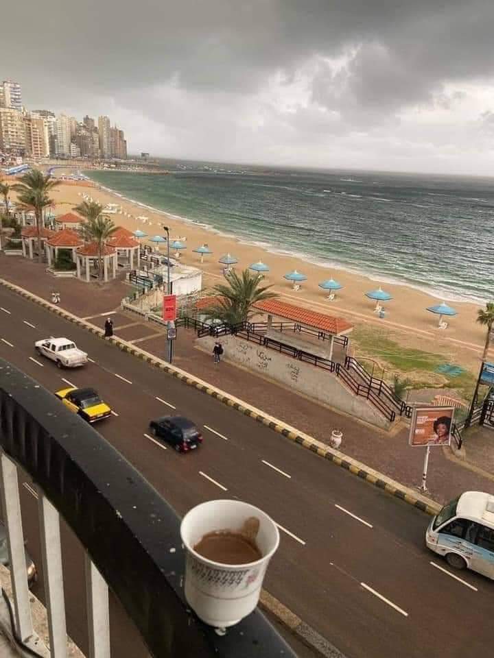 ibrahimaboyousf's tweet photo. 😍😍 https://t.co/uiTLvnhxce