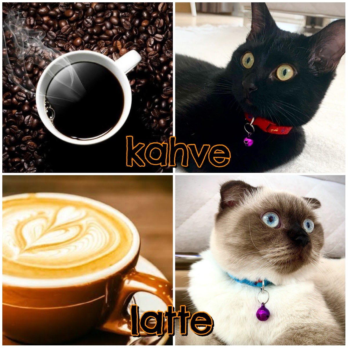 gulshersoy's tweet photo. @aahsocute kahve-latte  /  kahve -latte https://t.co/TAaJbphqMT