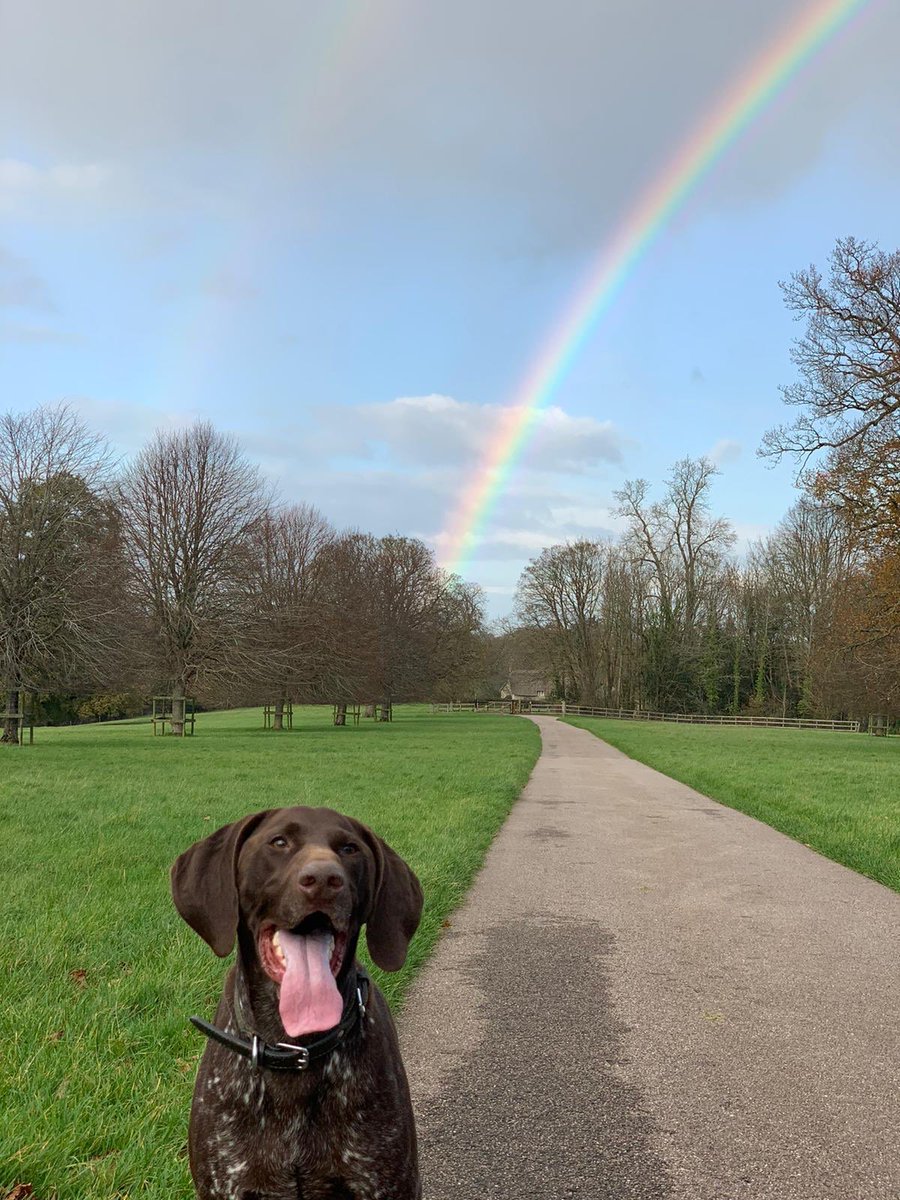 EmmaFord_1's tweet photo. Still in limbo tonight regarding which tier we will be placed in .... but at least one thing is certain we are definitely reopening next Wednesday. Basil will miss his super long daily walks but we will be very pleased to be earning a living again https://t.co/0VpBUuQHXJ