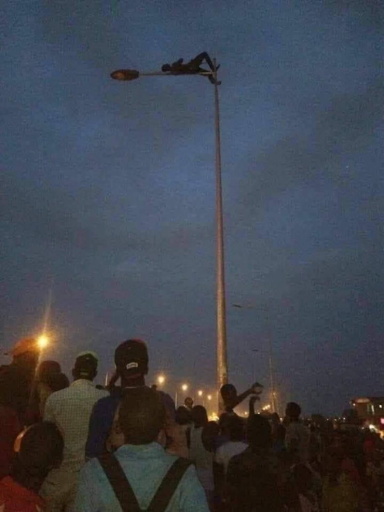 Postsubman's tweet photo. - Thief climbs street light pole to avoid beating. https://t.co/NnC7I0XZcV
