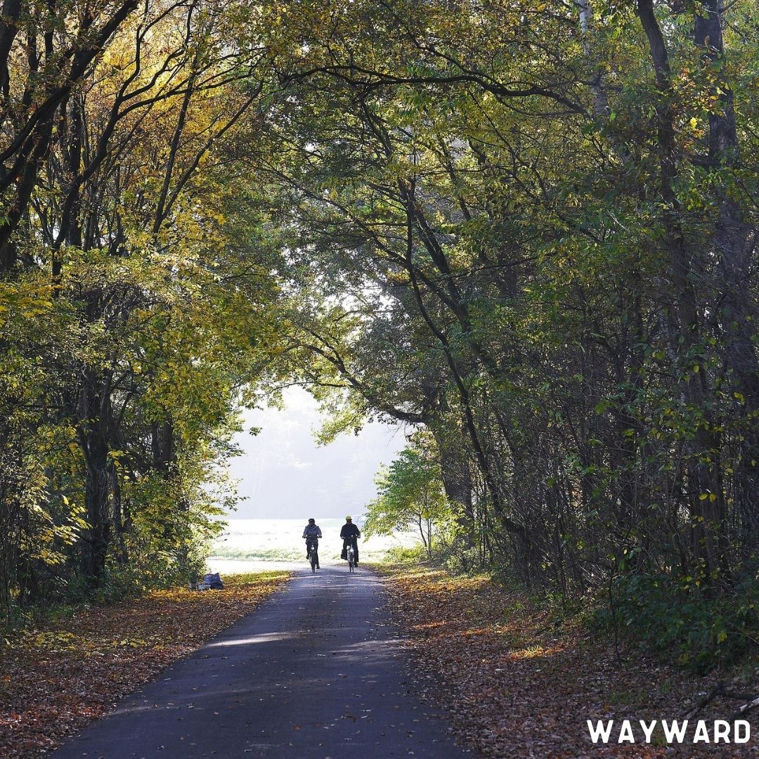 Start this #holidayweek with a #bike ride and share your trip with your family with Wayward.
#traveltracker #getlost #traveldiaries #hike #biking #adventures #outdoors #explorers #MondayMotivaton