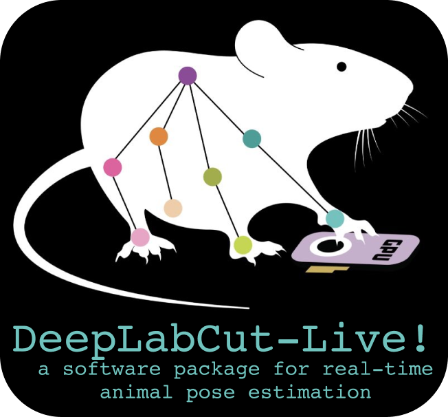 DeepLabCut's tweet photo. 🎉 a new version of 𝙳𝚎𝚎𝚙𝙻𝚊𝚋𝙲𝚞𝚝-𝙻𝚒𝚟𝚎! is released!

- docs, code improvements, plus a new simple benchmarking script that makes it easy to contribute your stats! 

🖥️  install: https://t.co/HqAJAnSNfh
📖 paper: https://t.co/Hx6ytdq0nV
👩‍💻code: https://t.co/eB5qHD8oCU https://t.co/XJLAnBmazH