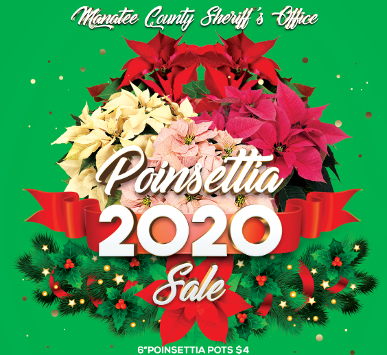ManateeSheriff's tweet photo. Poinsettias grown by our Leading Inmates to Future Employment (L.I.F.E.) program will go on sale for $4 each starting Mon., Nov. 30 (M-F, 8-11 am & 12-2 pm) at the Manatee Co. Jail while supplies last. Proceeds benefit L.I.F.E. Checks & credit/debit cards accepted (no cash). https://t.co/CAhWpIZXIt