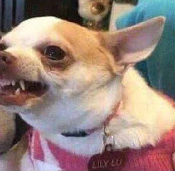 let773's tweet image. Todo mundo defendendo #LockdownSIM // todo mundo reclamando da economia dps 

#LockdownNAO