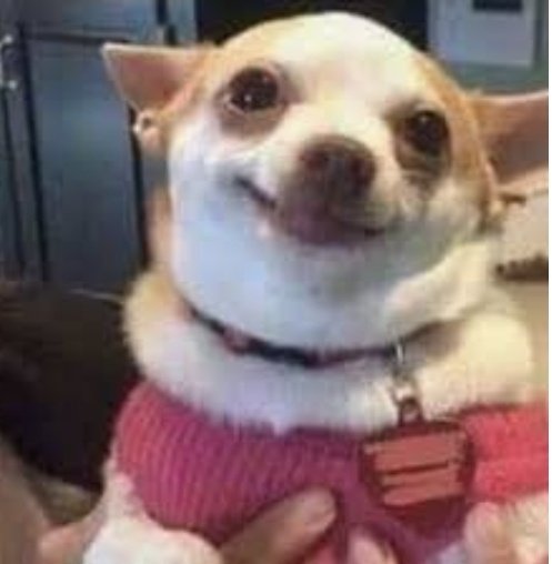 let773's tweet image. Todo mundo defendendo #LockdownSIM // todo mundo reclamando da economia dps 

#LockdownNAO