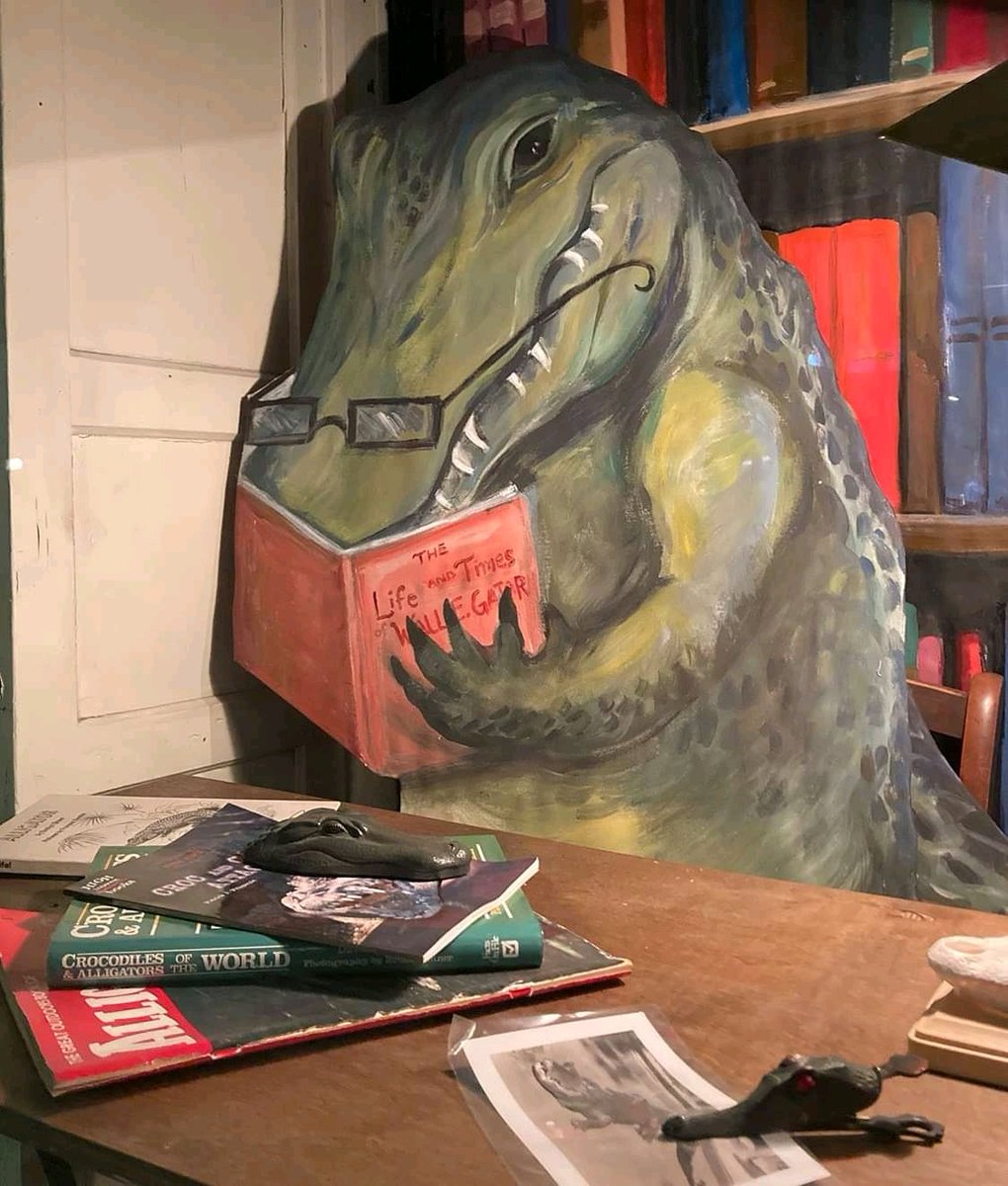 GatorMuseum's tweet photo. It's starting to get real... The windows are decorated! Has it really been 70 million years since we were last open? https://t.co/1enSS6Uy1c