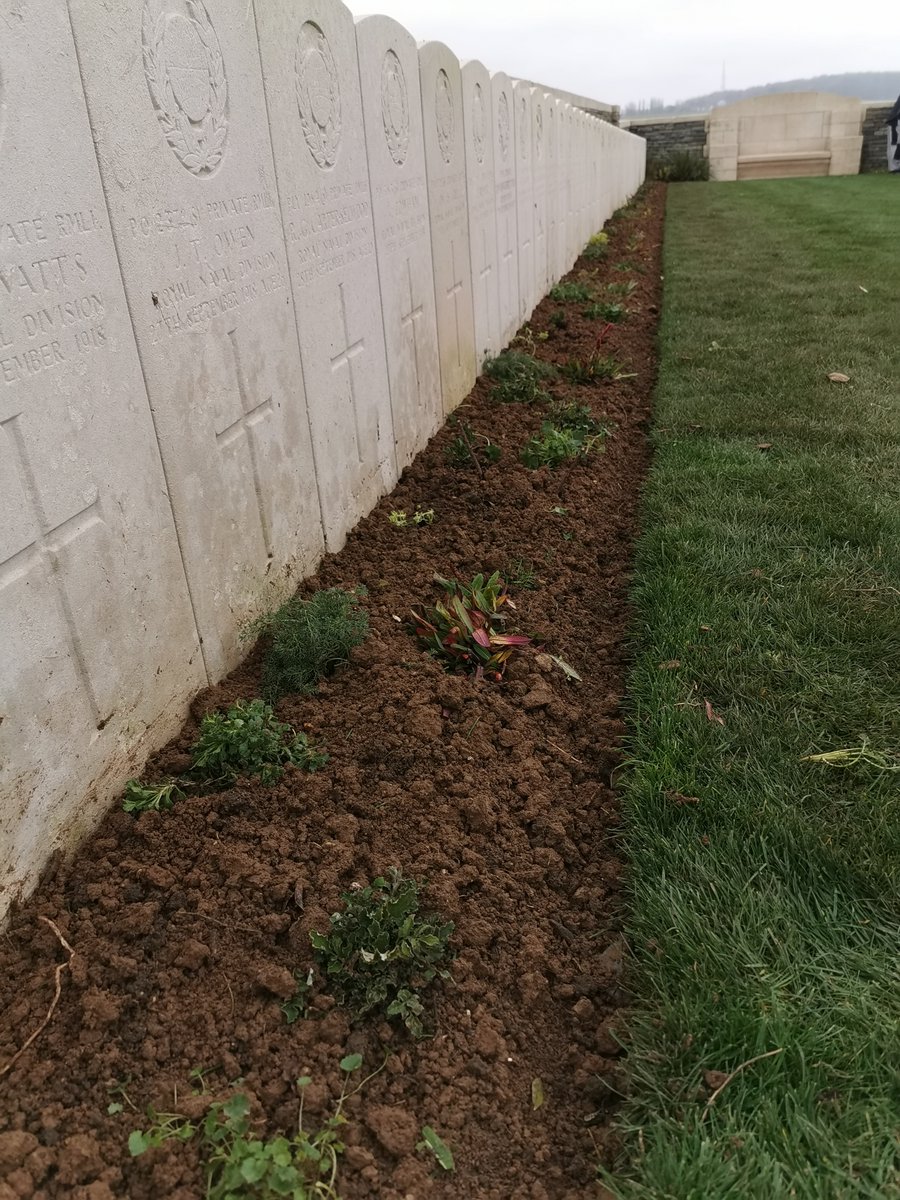 SamuelRebeille2's tweet photo. Renovation of plantations #SucrerieBC @CWGC https://t.co/zTihEPiwrY