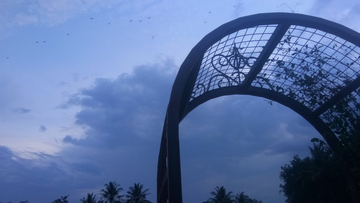 RizkiAula2's tweet photo. Sunset at embung Unnes

#sunset
#SunsetsForRose 
#semarang https://t.co/YeP6U9dt5S