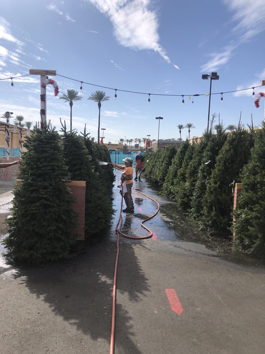 Rich Murphy tweet media