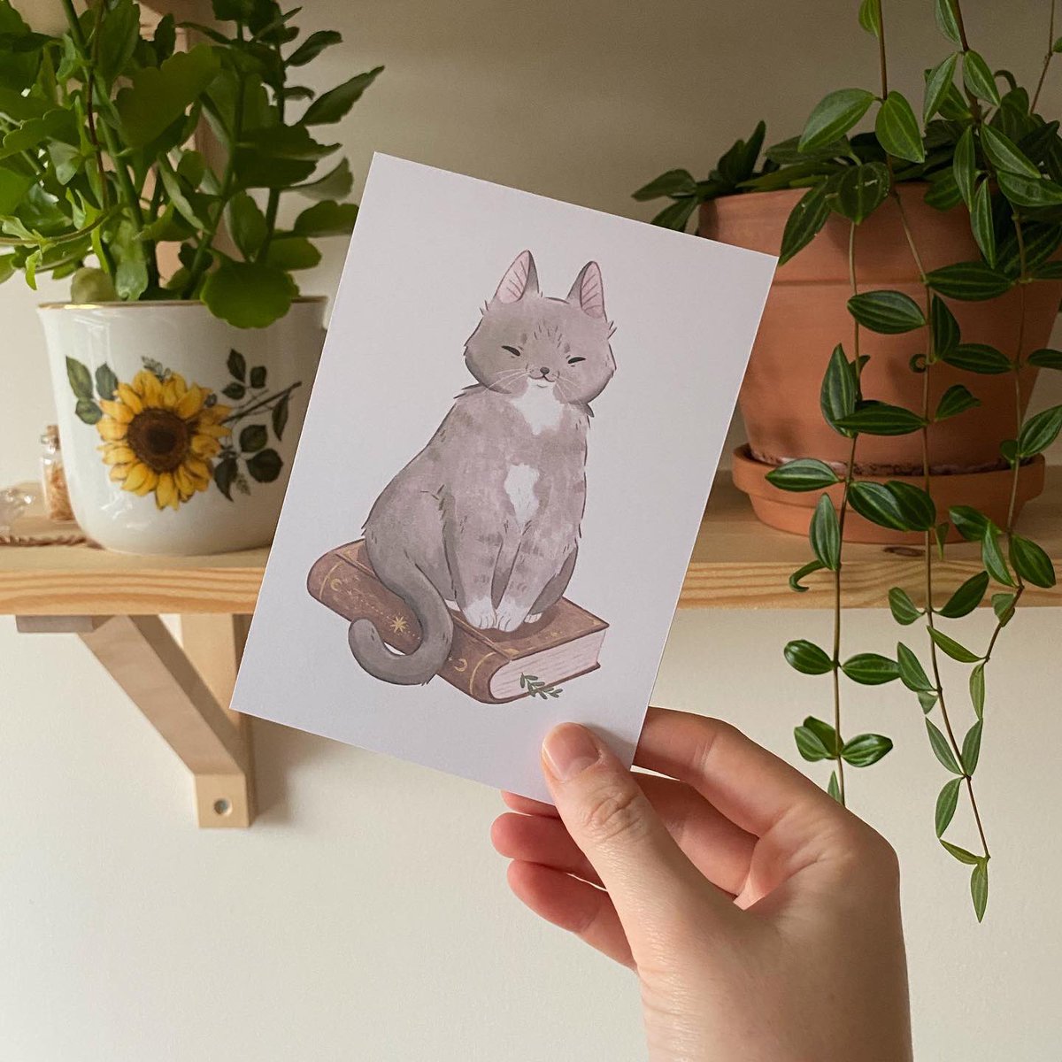 Added some new prints to my shop🧡🐈 
