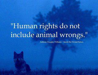 JeanJakz's tweet photo. @_AnimalAdvocate @rickygervais @Ivy_MiddletonUK @Protect_Wldlife @PeterEgan6 @RobRobbEdwards @XposeTrophyHunt @Veganella_ @Animal_Watch @Animals1st @animal_leaks @AmyRoseKathryn @joelle47019650 @Ariana_Activist @animal_equality @ALDF #AnimalRights #AnimalWelfare #SanctuaryNotSlaughter #OpZooCircusAbuse #EndHuntingNOW https://t.co/3PJtK6xUb4