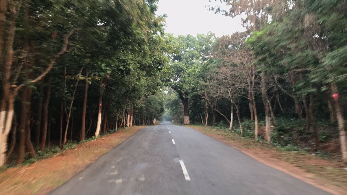SurajitTweet's tweet image. The road to #Kapilas is always beautiful but due to #COVID19 the temple was closed. They didn’t even allow to ride the hill. Reason they said, people come to the place seeing the pictures 🤦🏻‍♂️🤷🏻‍♂️
