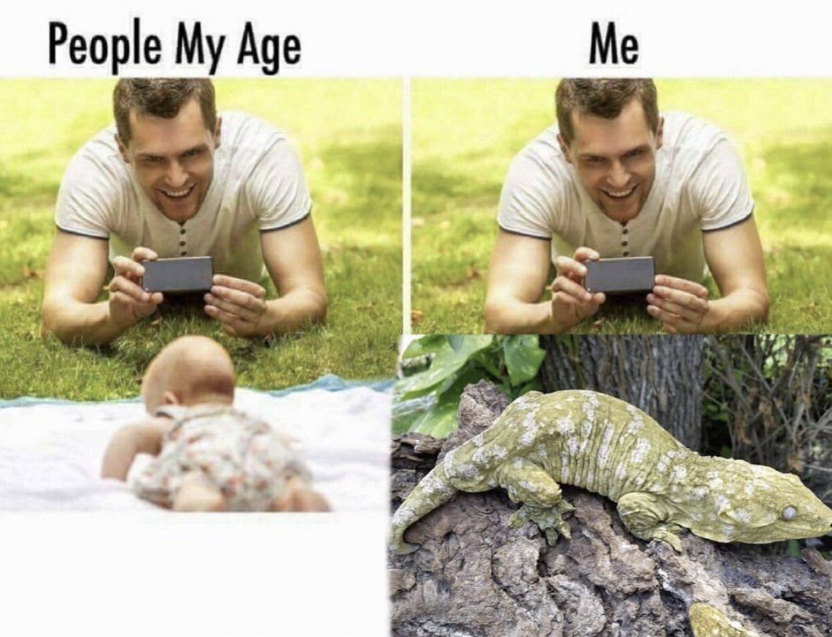 HasherVirk's tweet photo. #Entomology #Entomologists https://t.co/v2PI5u1z77
