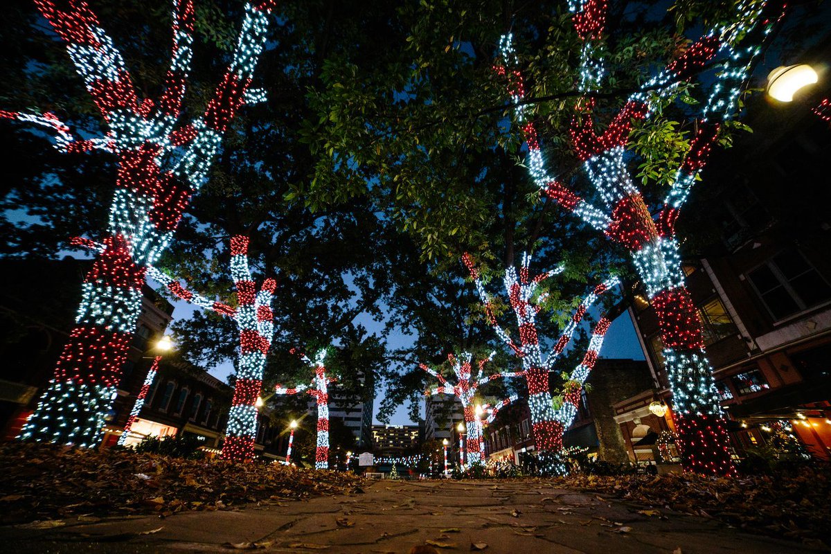 downtownknox's tweet photo. 💖 #PeppermintGrove is lighting up #MarketSquare, starting today, November 23rd. Come downtown to see it for yourself! #LoveDowntownKnox 💖 https://t.co/5NZhBdsIFw