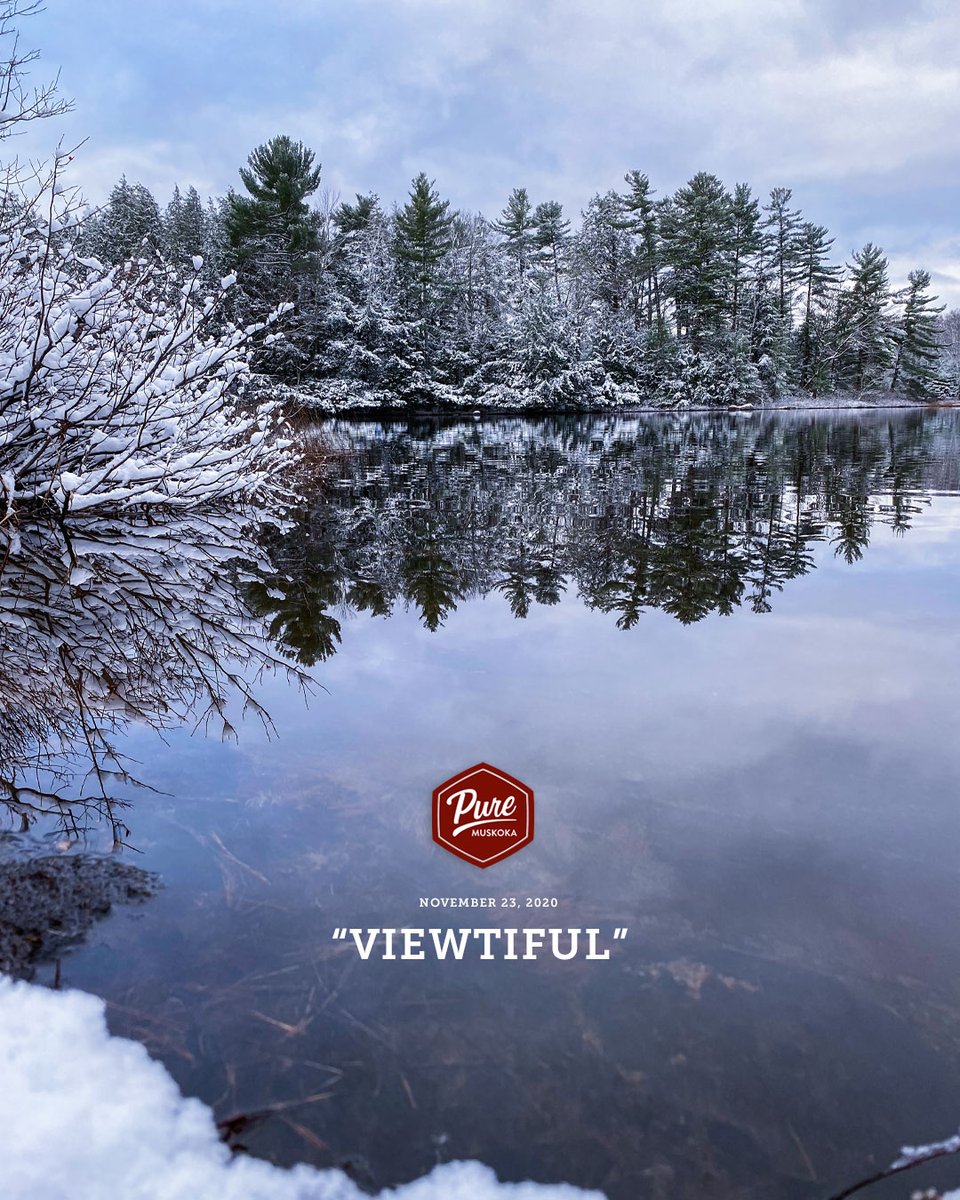 Pure Muskoka tweet media