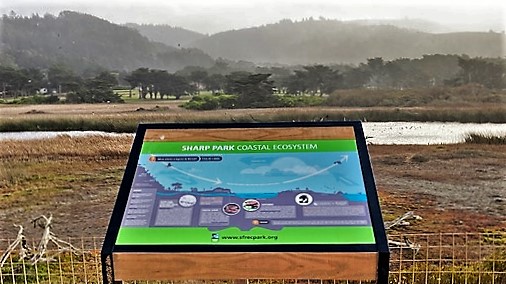 SFPublicGolf's tweet photo. Among our recent efforts funded by your contributions include working with @RecParkSF at Sharp Park to restore Alister Mackenzie green contours, new signs with hole names, tree-trimming, ground squirrel abatement, & Sea Wall Coastal Trail improvements.
https://t.co/KnSpNxslls https://t.co/w6QVLhAOku