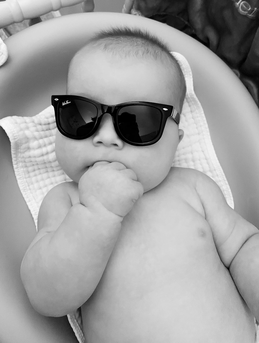 Margo 🇺🇸 🦀🌻 tweet media