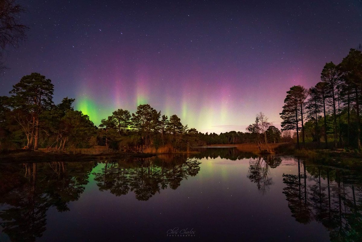 ChrissCharless's tweet photo. Awesome #aurora last night! #StormHour #ThePhotoMode #northernlights #photooftheday https://t.co/AjRZ1rB84X