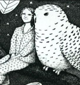 Christmas on its way! - mailchi.mp/da96b8fa832f/c….  We really hope that you will enjoy the visual journey ...