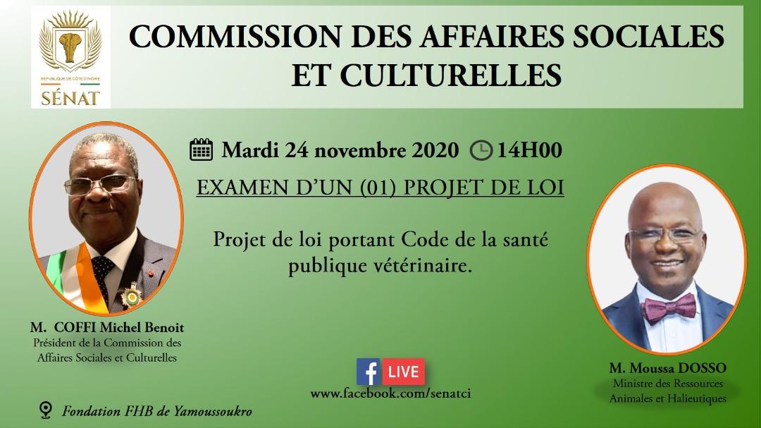 Senatci's tweet photo. 📝Agenda du @Senatci 
#session2020 https://t.co/w9pD7uSllG