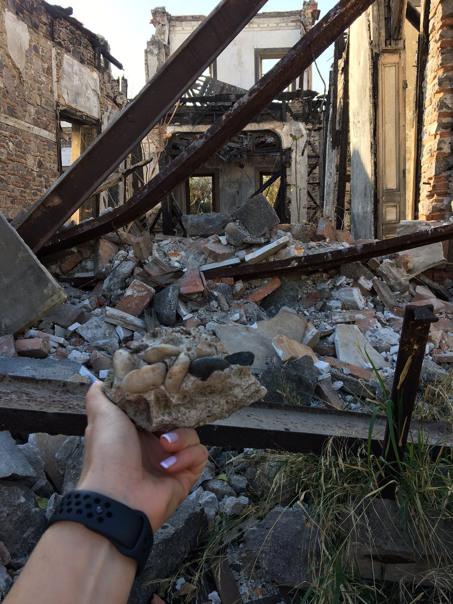 ESRACANAN35's tweet photo. Yangından sonra, şimdi de deprem... artık dayanamadı
İzmir Bayraklı
“Yahya Paşa Konağı” nı gezdim. https://t.co/UFdWY1SJ1d