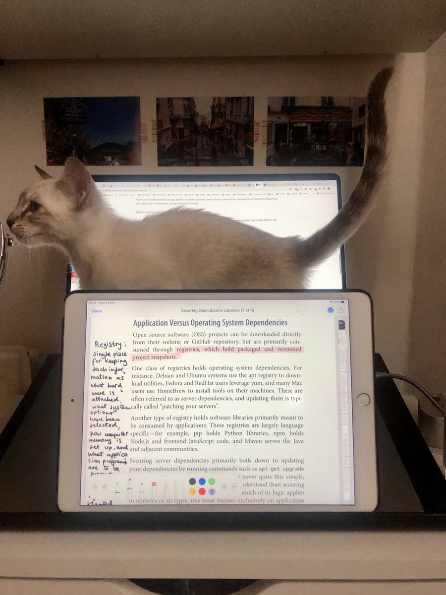 lisacernilogar's tweet image. @guypod’s ‘Securing Open Source Libraries’ and a very curious George, what a Monday 🐱👩💻 (#catsandcode or #codingcats ?)
#GirlsWhoCode #womenintech