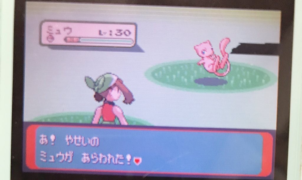 さいはてのことう