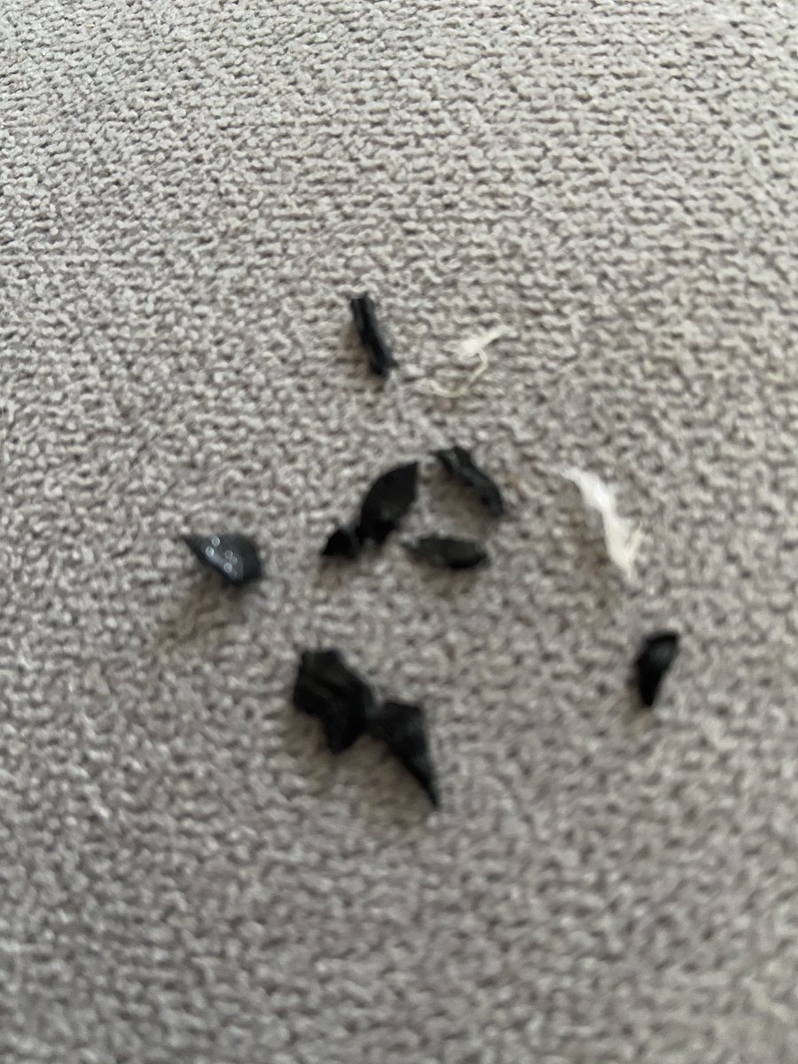 natixanna's tweet photo. Uhh so how normal is it to have little bits of plastic throughout your McFlurry? 😡🤢 @McDonalds #McDonalds https://t.co/c0ueh6Wp9V