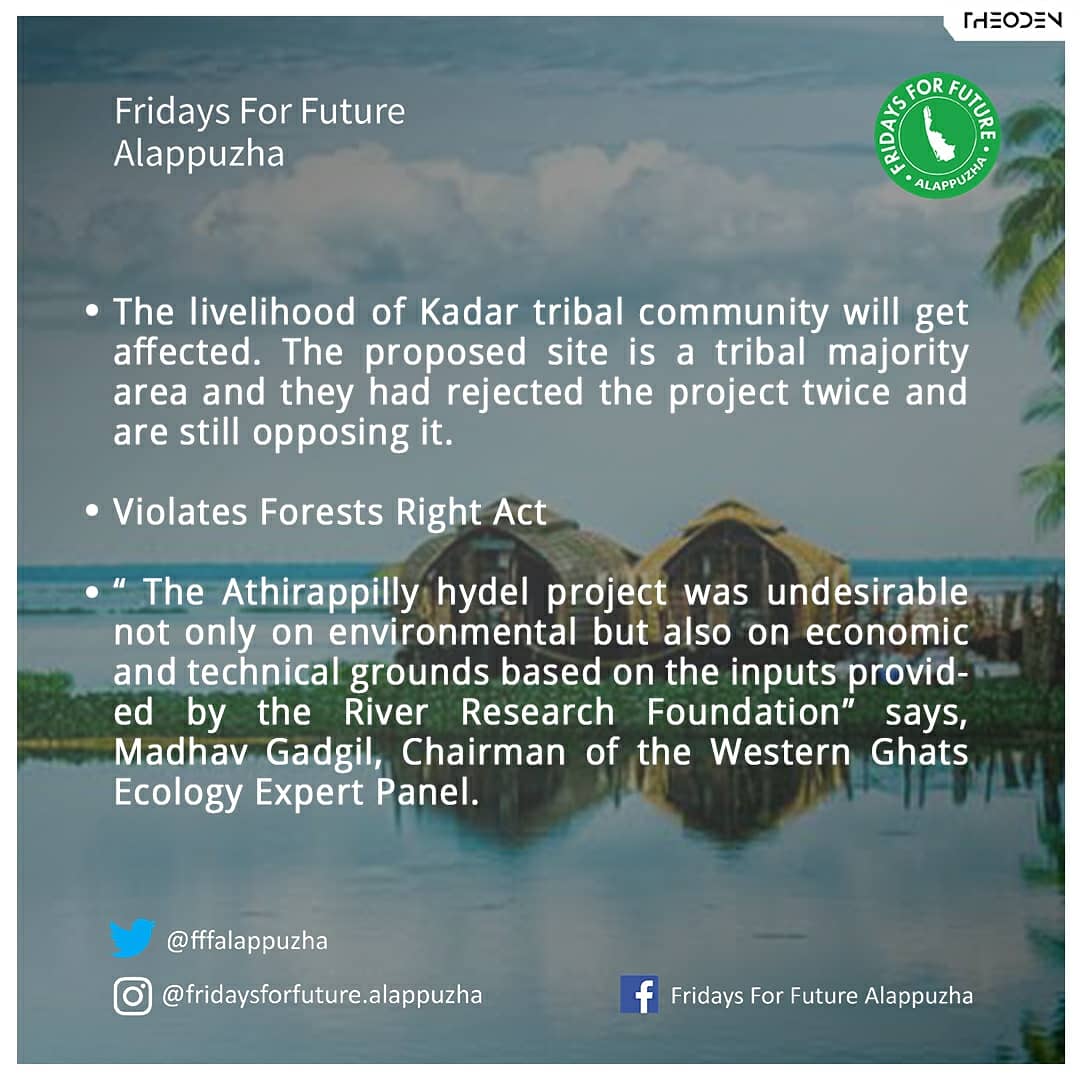 FFFAlappuzha's tweet photo. #Athirappilly #Anakkayam #eia2020 #SaveAthirappilly #SaveAnakkayam #Kerala #SaveAthirappillyBiodiversity #Chalakkudy #KaadinoppamKaadarkkoppam #FFFAlappuzha #FFFAlpy #FridaysForFutureKerala https://t.co/YbUTKDwGge