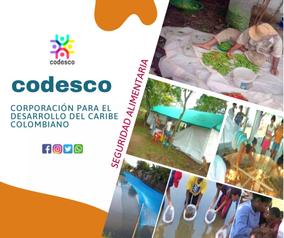 Codesco2's tweet photo. Nuestros Servicios y Experiencia en 13 años de vida Jurídica. (5 ejes) https://t.co/w5MXX5Qkxc