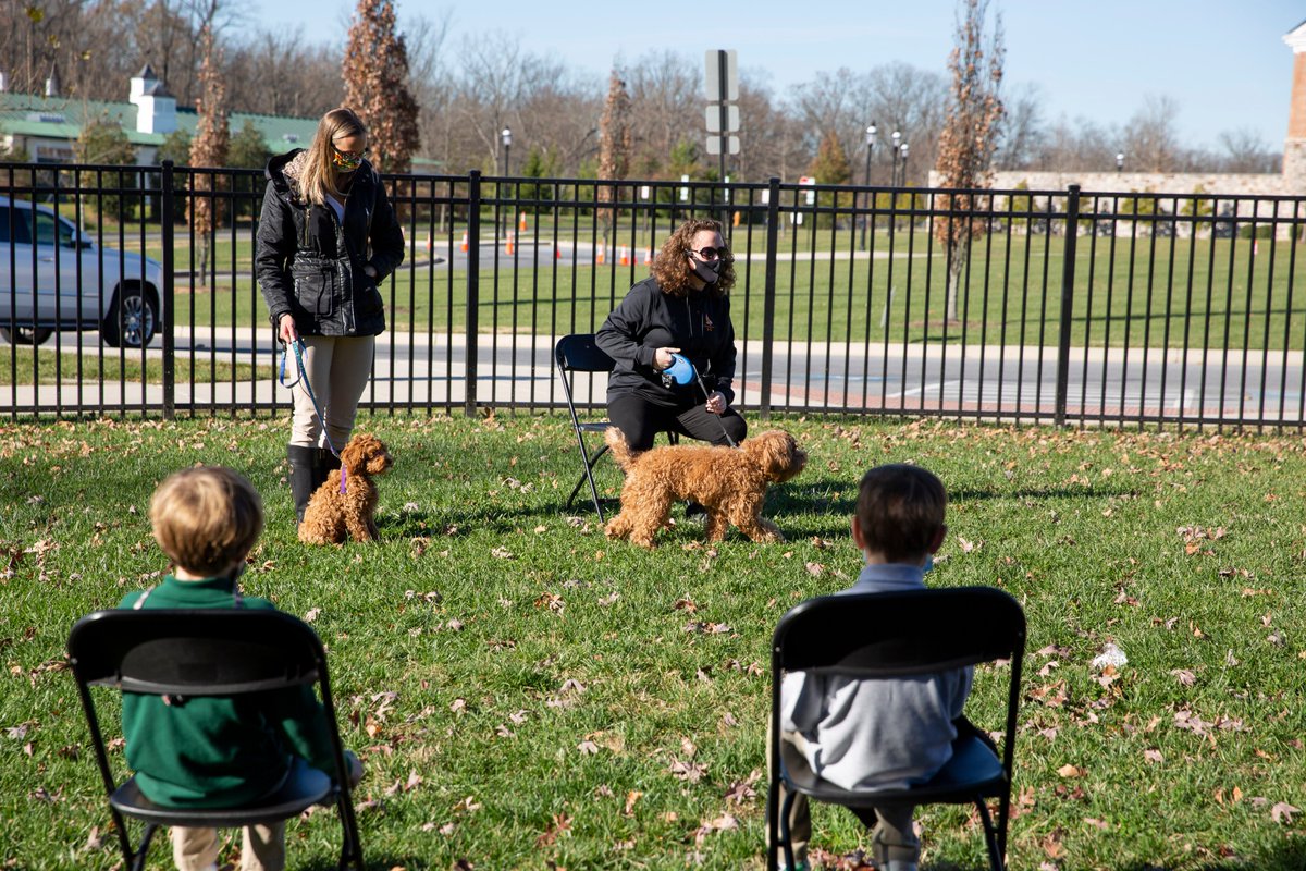 McDonoghSchool's tweet photo. Kindergarten ended Rights Week on a Pawsitive note last Friday with a Puppy Party! Having just finished studying the rights of domestic animals, students had a chance to meet a couple of campus residents of the four-footed and furry kind. #RightsWeek #Empathy #CharacterEducation https://t.co/fgCKuk23QW
