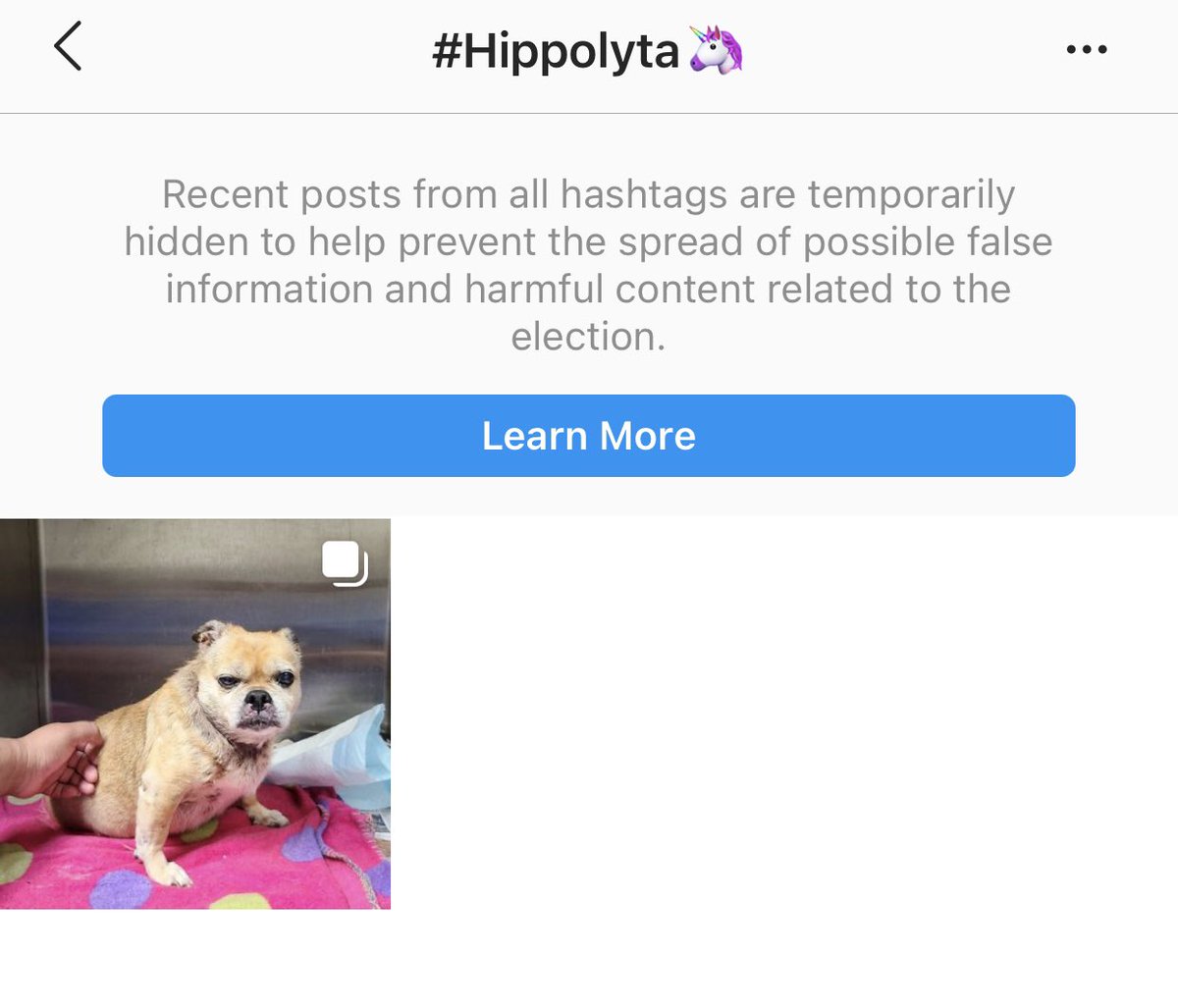 Dear <a href="/instagram/">Instagram</a> We NEED #Hashtags to track rescue dogs and help save lives. Please realize dog posts are NOT political and stop censoring them .... this is insane. We use shelter ID #s as hashtags and now we cannot track!! CC: <a href="/K911ResQ/">K911ResQ</a>
