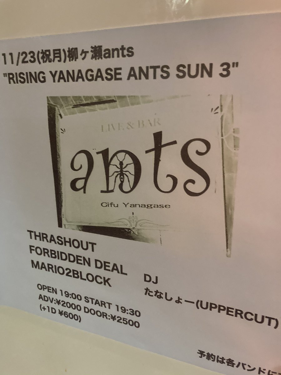 kiseki838's tweet photo. 本日は久々にANTS行ってきたん!岐阜のバンド3マンだお!!
#THRASHOUT
#FORBIDDENDEAL
#MARIO2BLOCK
マリツー初めて見たけどかっこよかったん!なのでCDゲット。FORBIDDENのロンTもゲット。(のぎくんとオソロ)
ラの後のラをしばき、早速着て寝る人の図。
やっぱりハコ最高!!!
#2020年26本目
#ANTS https://t.co/uQa4R5wHga