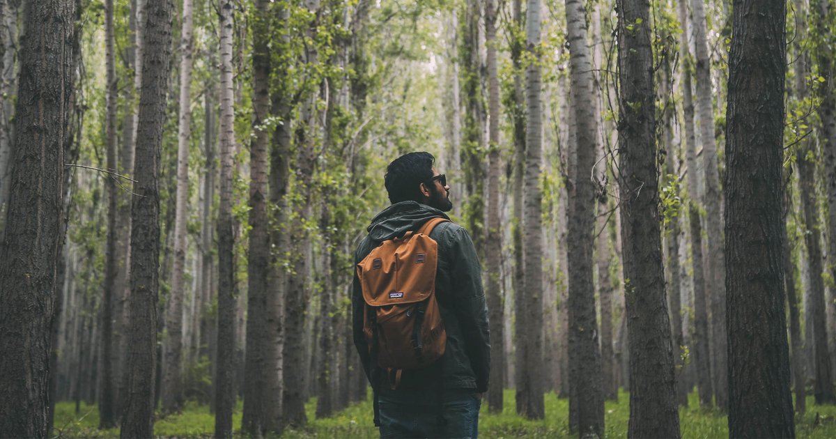 RemediShop's tweet photo. "In every walk with nature, one receives far more than he seeks." -John Muir
.
.
.
#coloradogrown #hemp #health #cbdpower #hempfordogs #natural #cbddoesabodygood #cannabisculture #selfcare #cbdsupplements #hempforcats #hemphealth #hempdoesabodygood #cbdwellness #cbdlifestyle https://t.co/fMBnBCxHoq