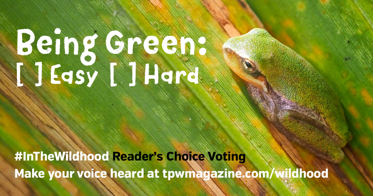 tpwmagazine.com/wildhood
Only four days left to vote for your favorite of the 9 Readers' Choice Award finalist from the #InTheWildHood photo contest. Vote once a day (social media account not necessary to enter) until Thanksgiving Day.
#photocontest